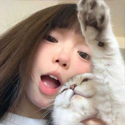 森林